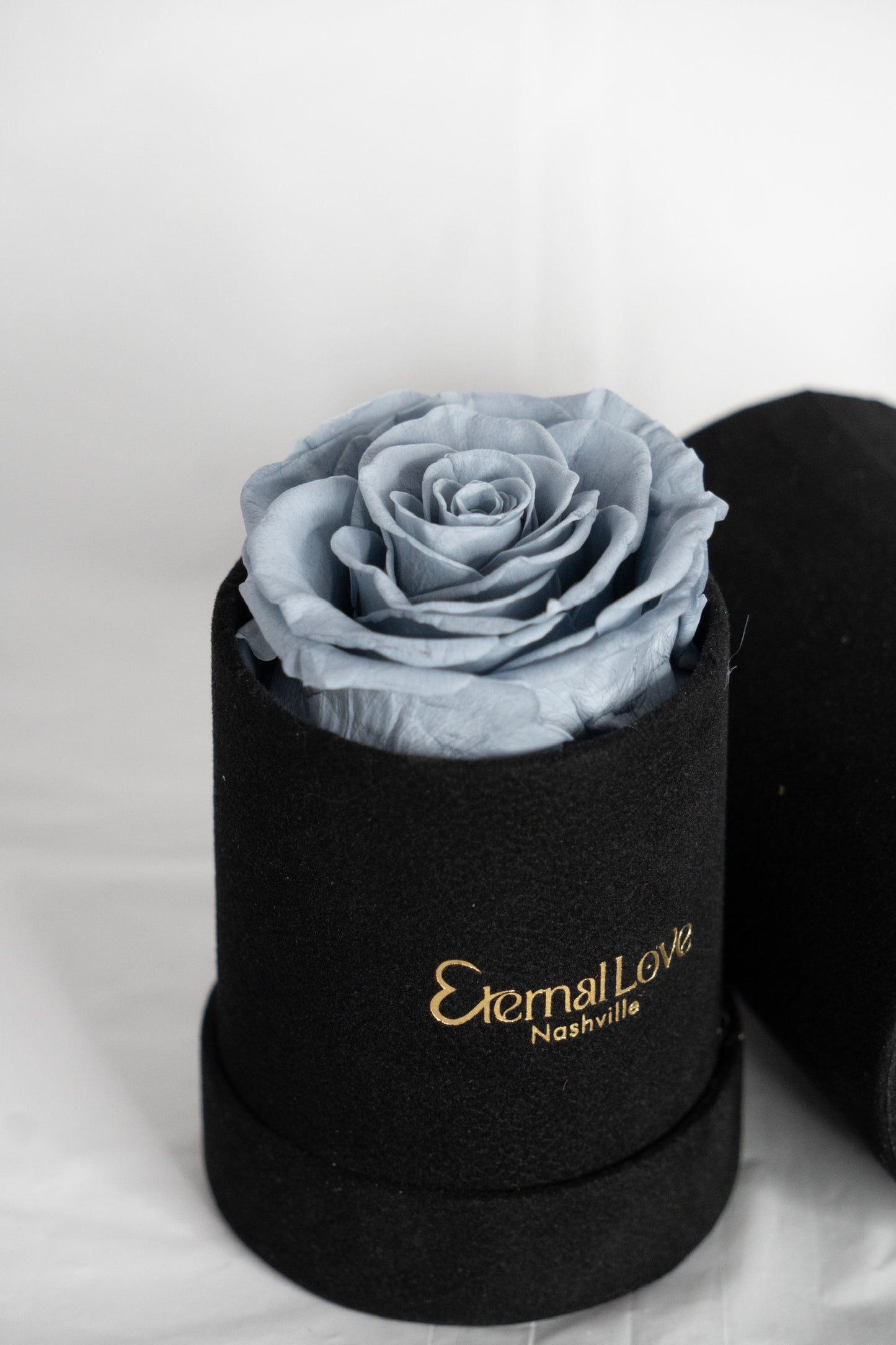 Roses In A Round Box