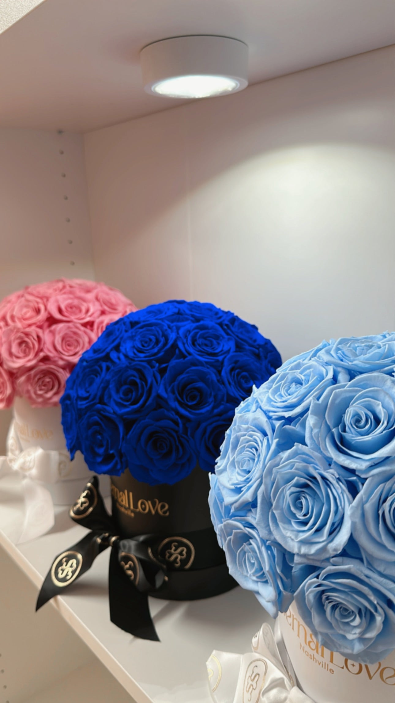 Roses In A Mushroom Shape