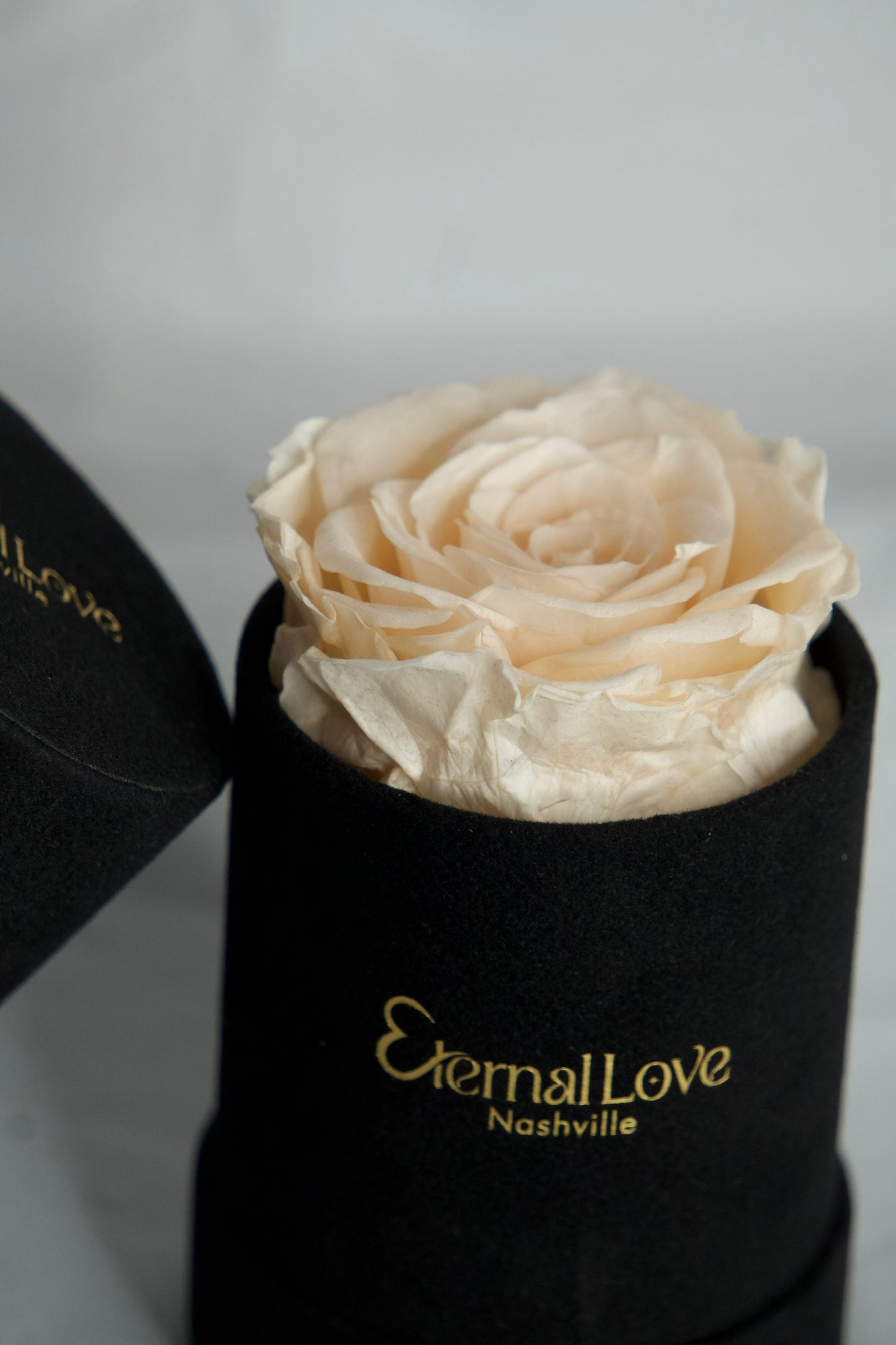 Roses In A Round Box