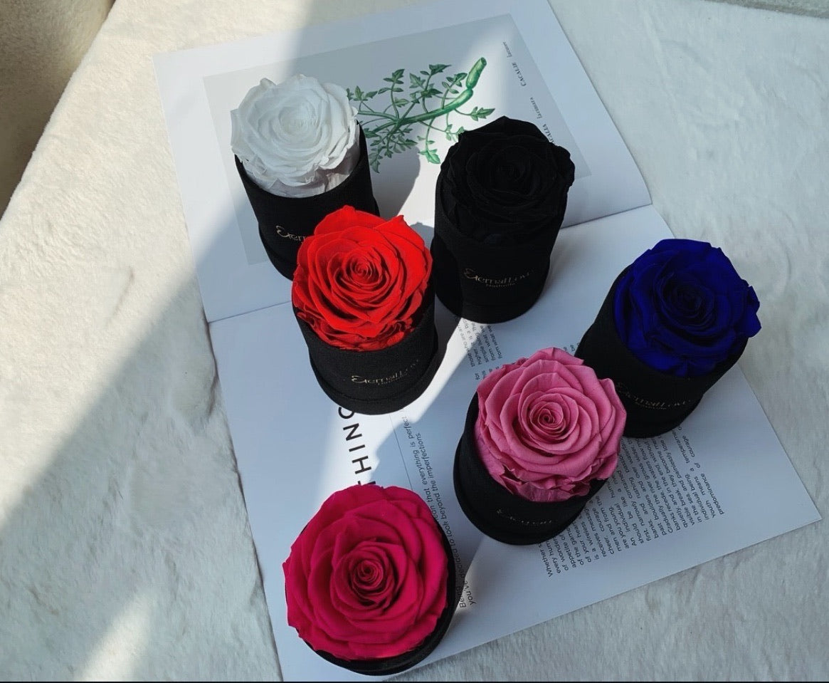 Roses In A Round Box